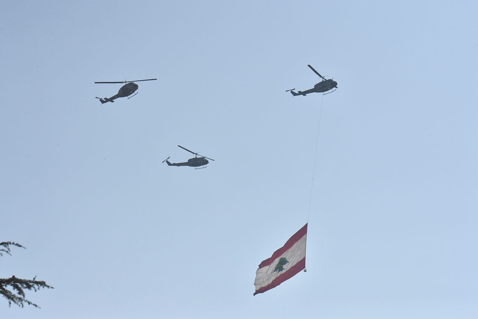 كلب واحد لكل ألف خروف