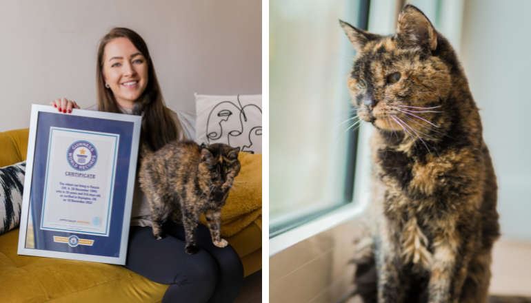 عمرها 27 عاماً... "فلوسي" أكبر قطّة في العالم