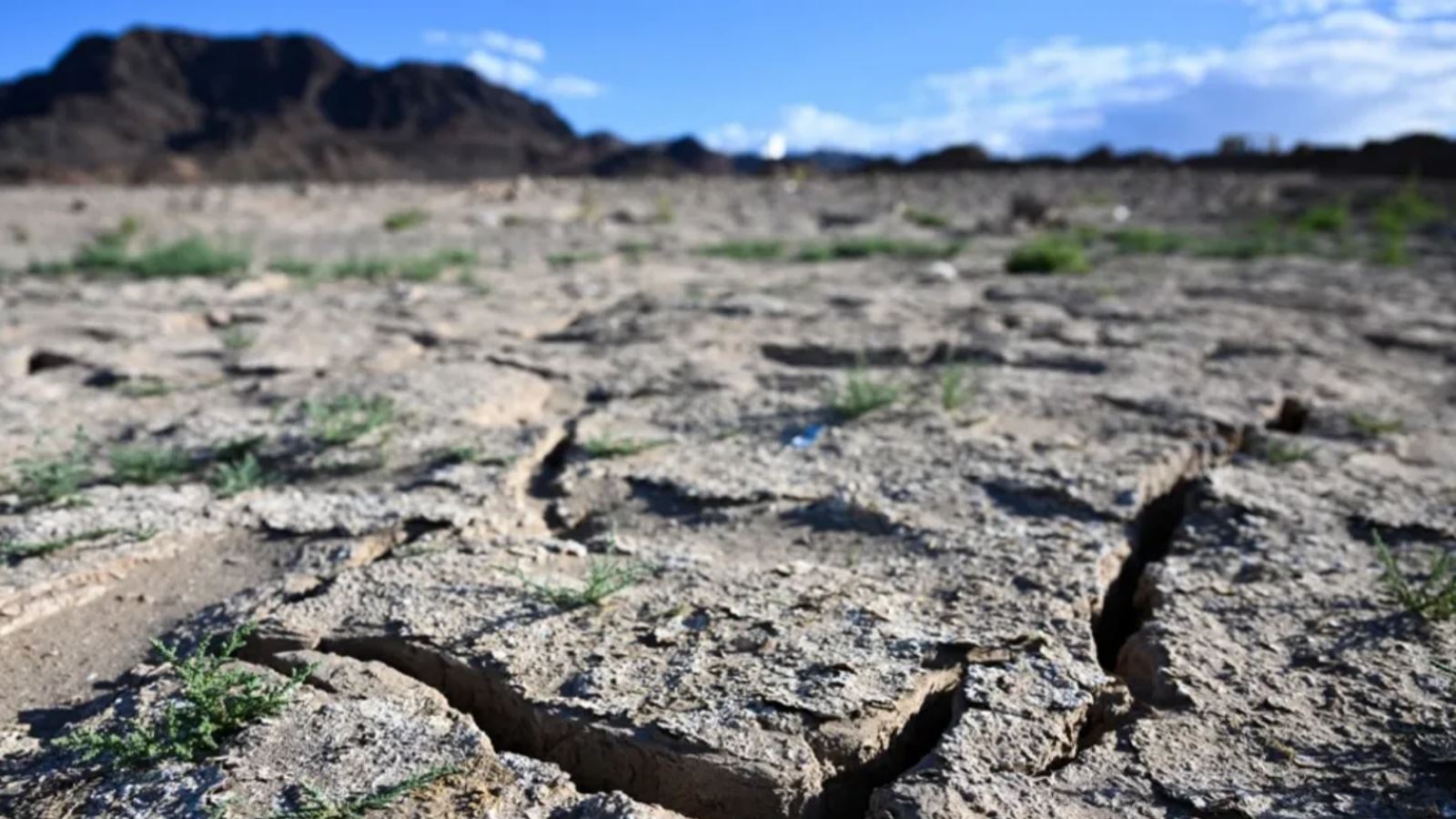 توقّعات خطيرة للاحترار... جهود حثيثة تتواصل بعد سنة شهدت كوارث مناخية كبيرة