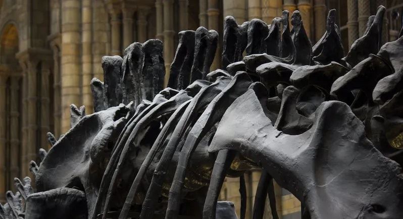 اكتشاف نوع جديد من الديناصورات... لديها 400 سنّ في فمها