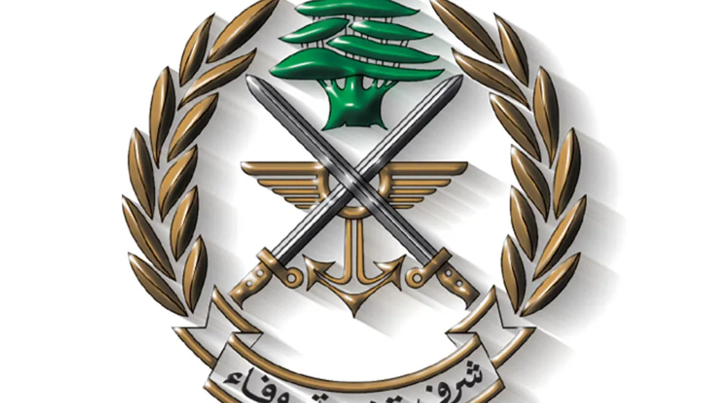 الجيش اللبناني يوقف متورطين بإشكال مسلح في مغدوشة أدى إلى إصابة شخص