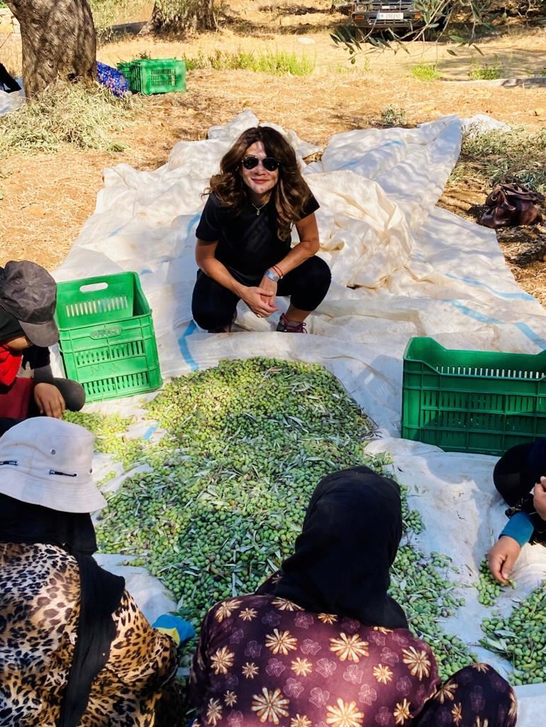 لبنانية تحصد الميدالية الذهبية "لأفضل زيت زيتون لعام 2023" في نيويورك... "دير ميماس الأصل"