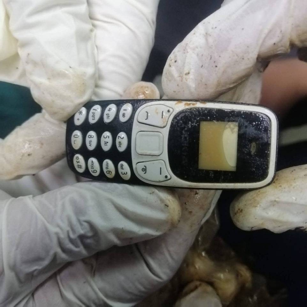 الهاتف بعد نزع الغلاف عنه 