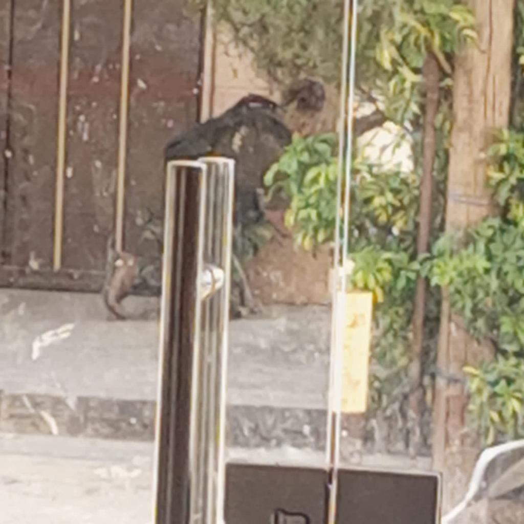 بالفيديو- اشتباكات بين "الجبهة العربية" وعناصر من "فتح" في مخيّم البداوي