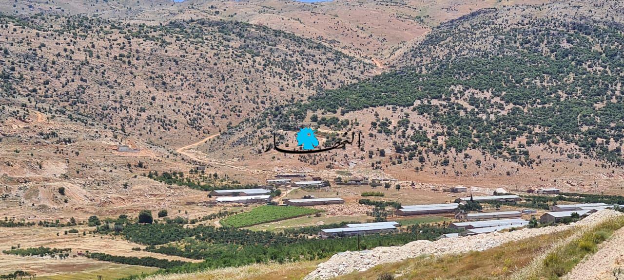 قتلى وجرحى من "الجبهة الشعبية" عند الحدود اللبنانية – السورية... إسرائيل تنفي علاقتها