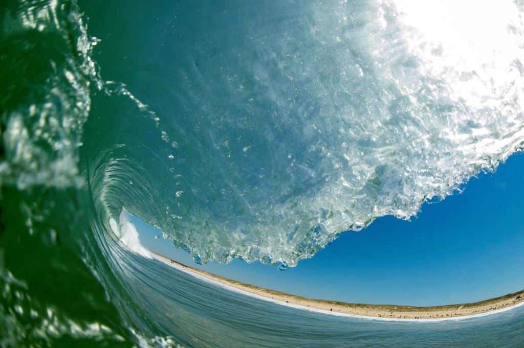 موجة حرّ غير مرئية تفتك بالأجناس البحرية في المحيط الأطلسي