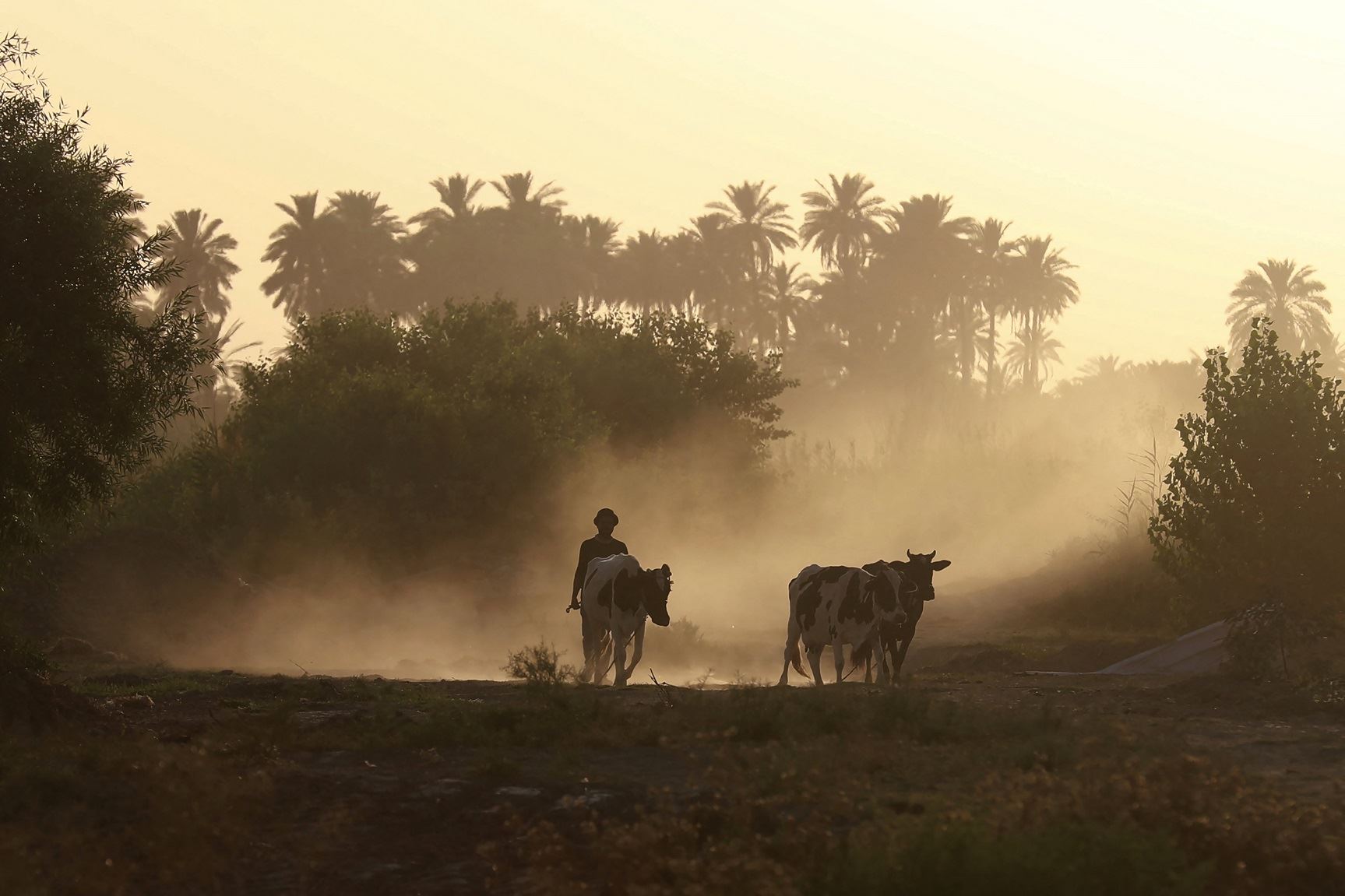 4 أسئلة حول البيانات المرتبطة بدرجات الحرارة العالمية وأهمّيتها