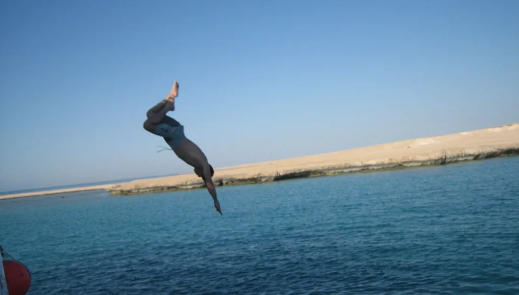 عن الرئيس والوزير الأوّل