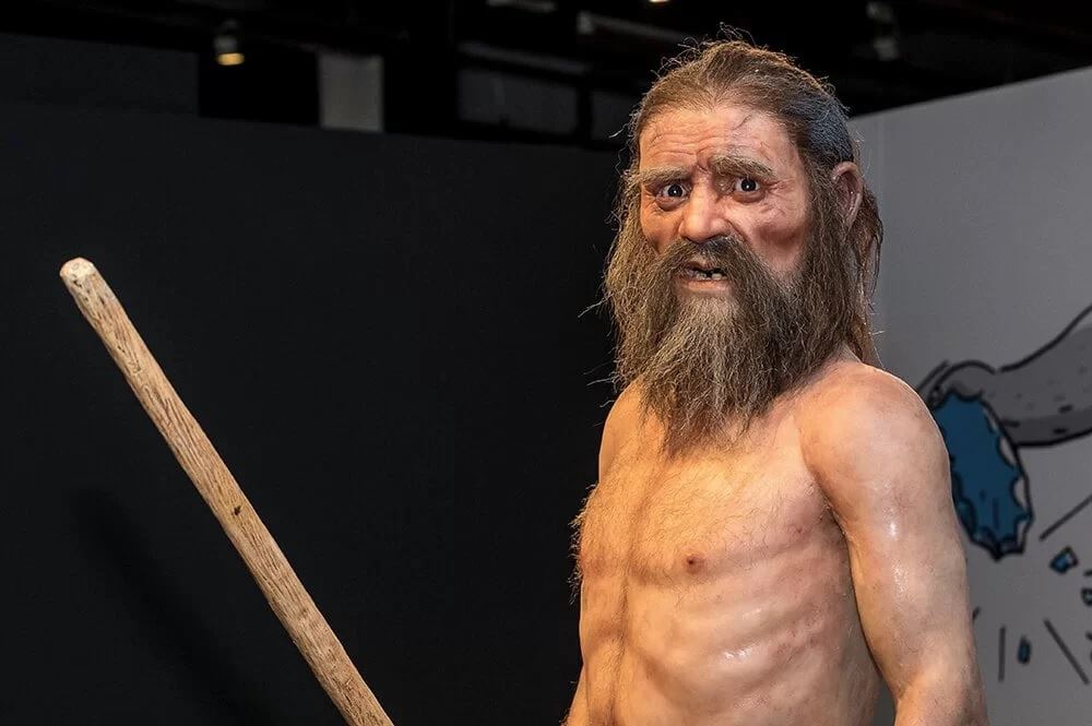 يعود إلى عصور ما قبل التاريخ... "رجل الثلج" أوتزي كان أصلع وذا بشرة داكنة