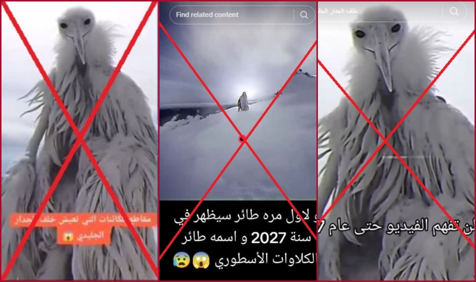 "هذه الكائنات تعيش وراء الجدار الجليدي"؟ إليكم الحقيقة FactCheck#