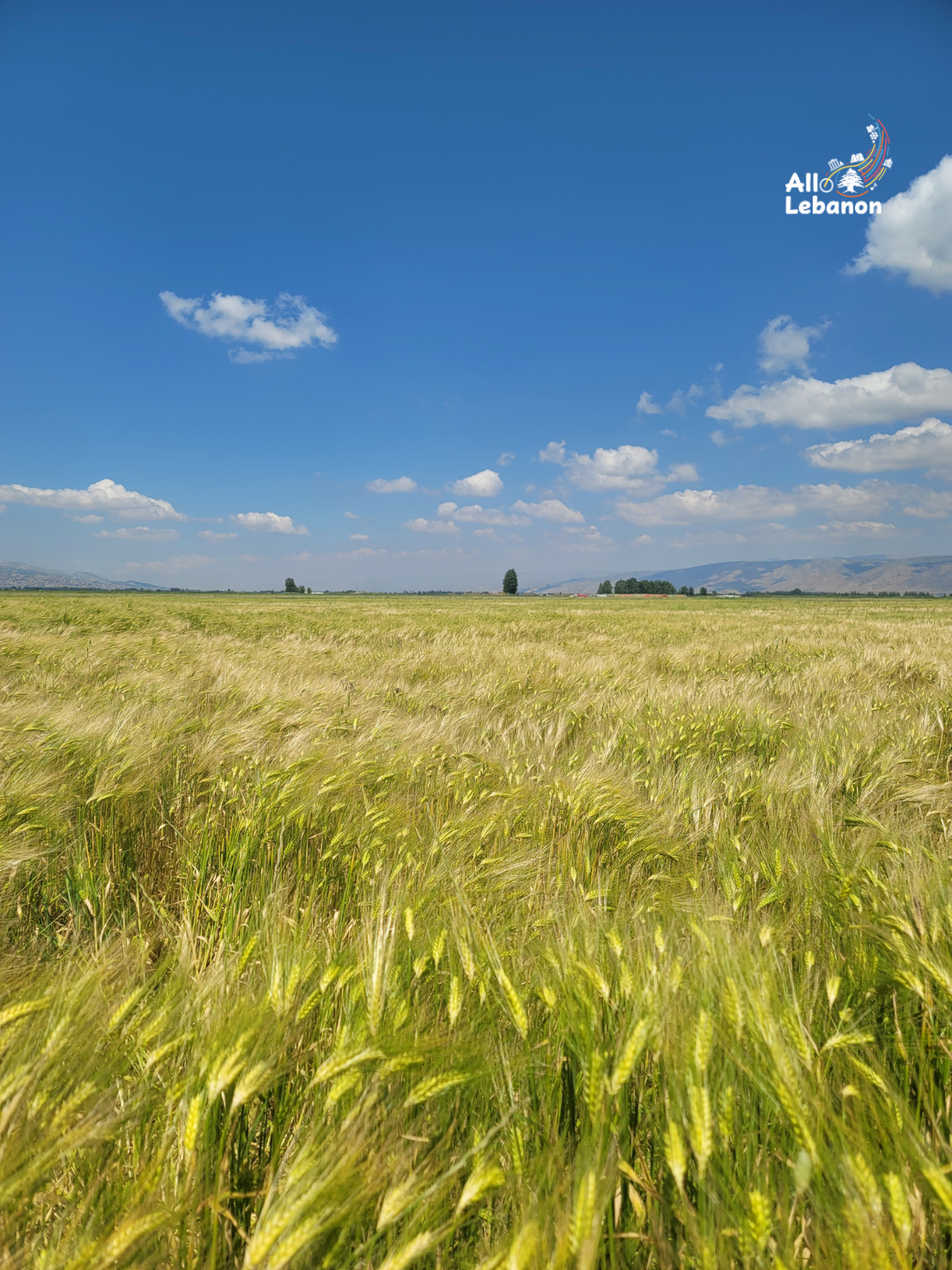 محمية عميق في لبنان (تصوير: أديبة قصاب)
