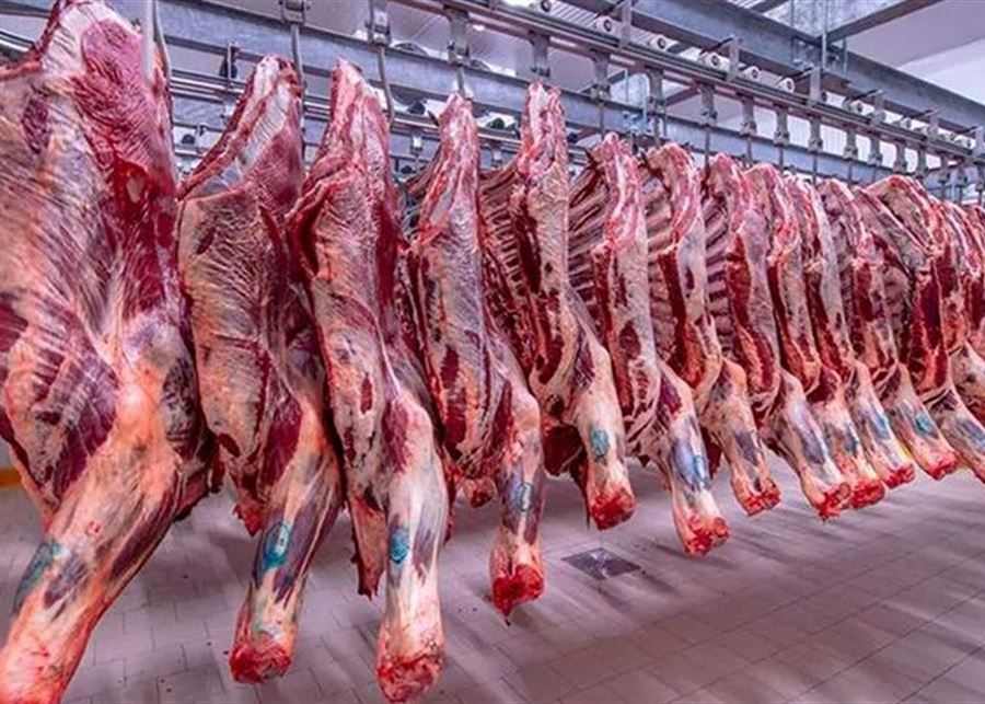 بالفيديو- لحوم جواميس هندية تغزو الأسواق اللبنانية.... ماذا يأكل الناس؟
