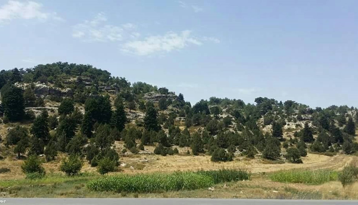 فنيدق - عكار 