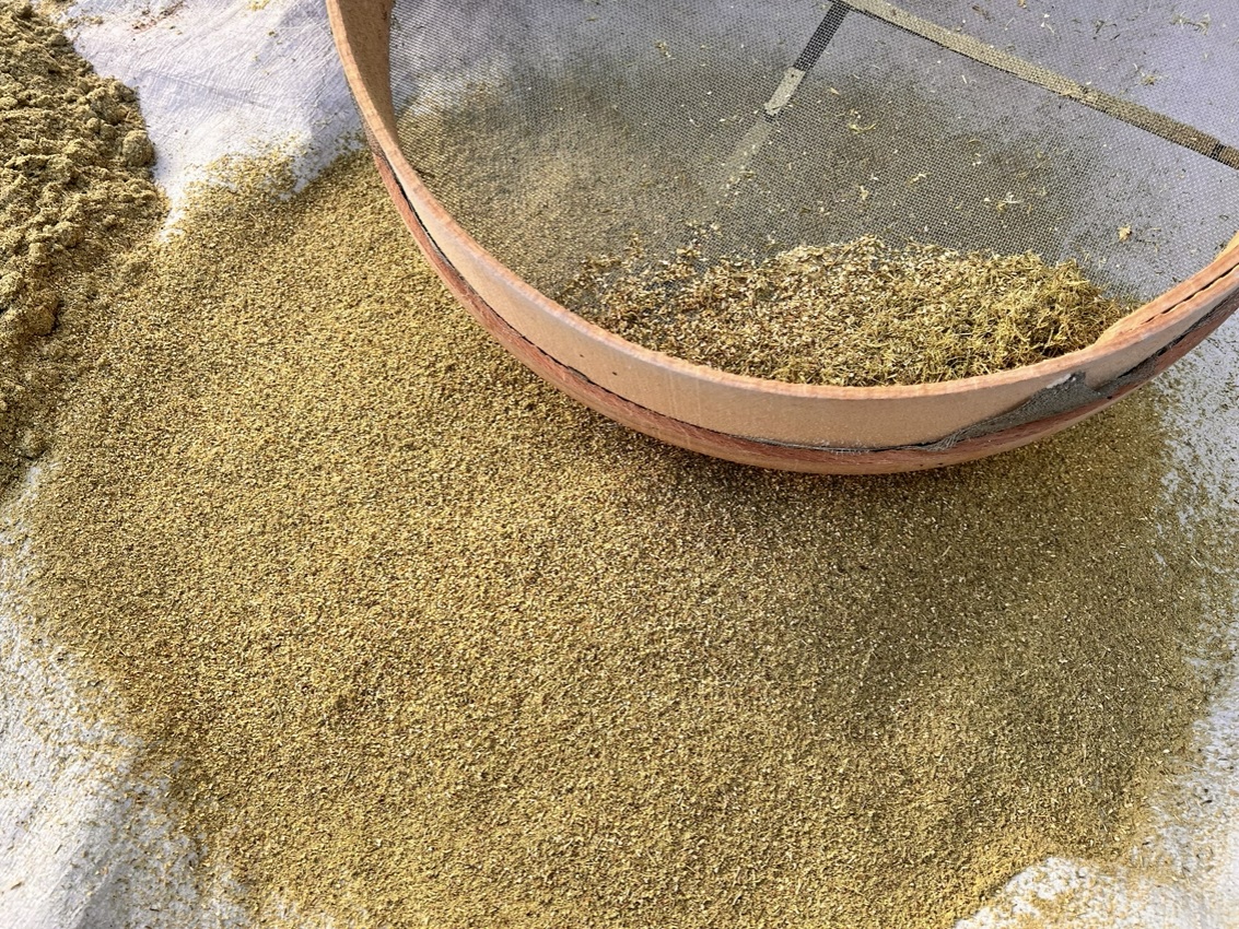 الزعتر الحلبي مونة أساسية في سوريا (النهار)