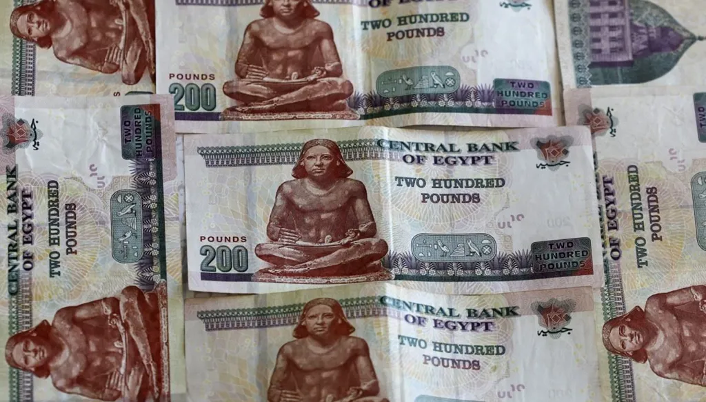هل توقعت وكالة فيتش أن يتجاوز الدولار 350 جنيهاً مصرياً خلال عام أو عامين؟ النهار تتحقق FactCheck
