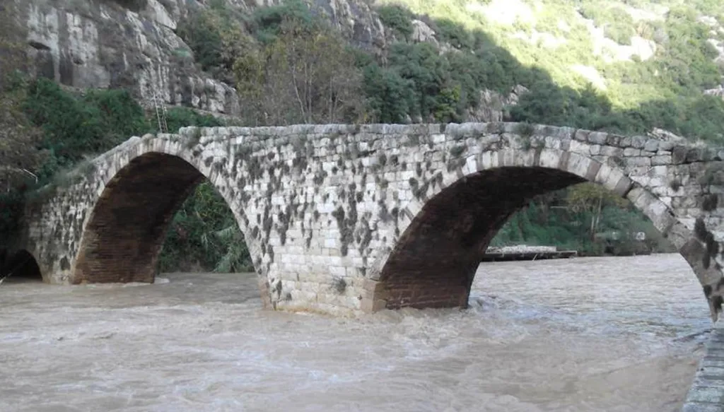 From Commitments to Action: How Can Lebanon Strengthen Its Environmental Voice?