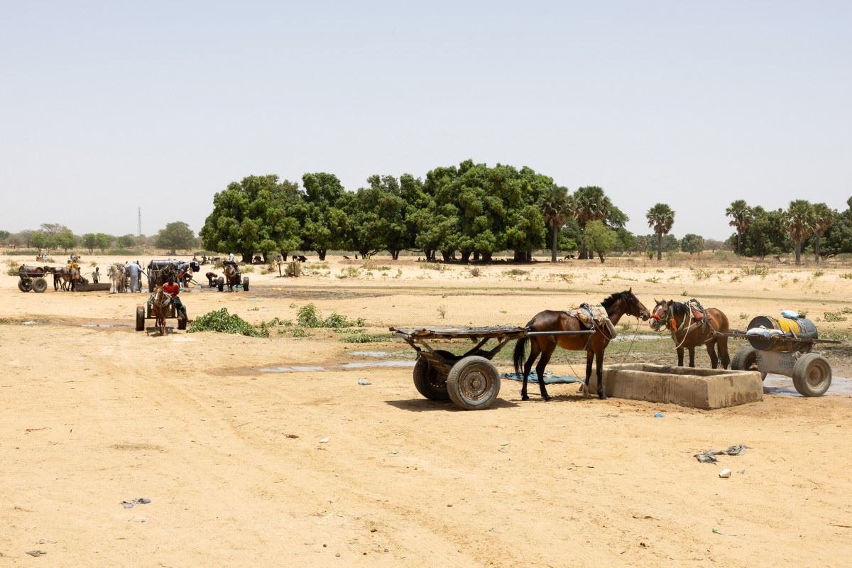 مقتل 25 مدنياً في دارفور في اشتباكات بين الجيش وقوات الدعم السريع
