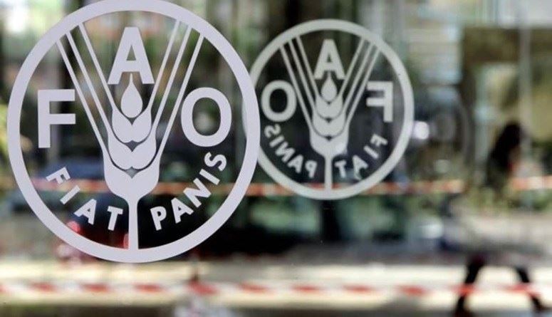 الفاو: أسعار المواد الغذائيّة ترتفع للشهر الثاني على التوالي