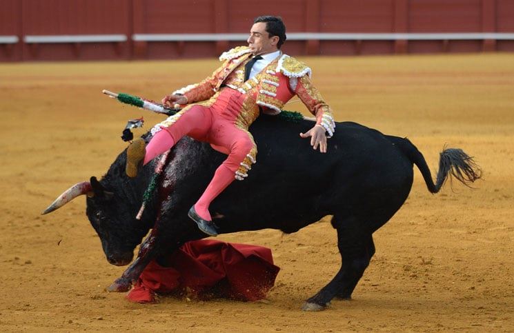 في تحول ثقافي.. إسبانيا تلغي الجائزة الوطنية لمصارعة الثيران