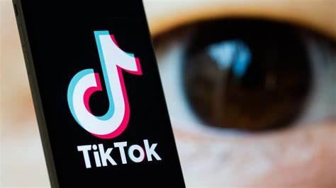 ملف التيكتوكرز: عدد الضحايا إلى 14 والقاضية أبو حيدر تقفل 25 صفحة على مواقع التواصل الاجتماعي