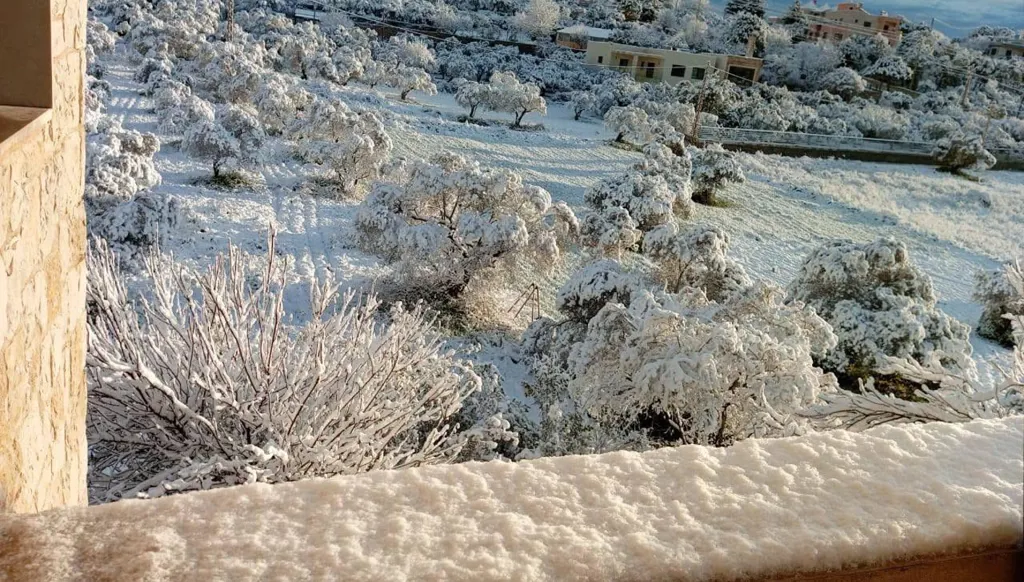 ارتفاع أسعار الخضروات مع بداية شهر رمضان بسبب موجة الصقيع