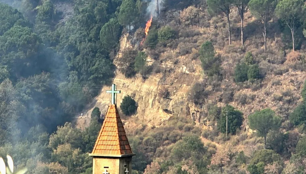 حرائق غير مسبوقة تخرج بلدة عاراي الجزينية عن سكونها الأبدي (فيديو وصور)