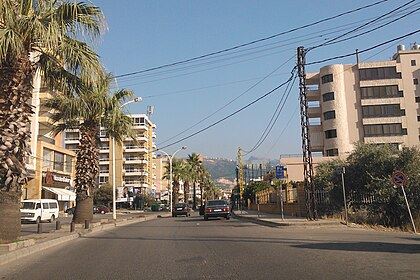 صورة عامة من زغرتا (انترنت)