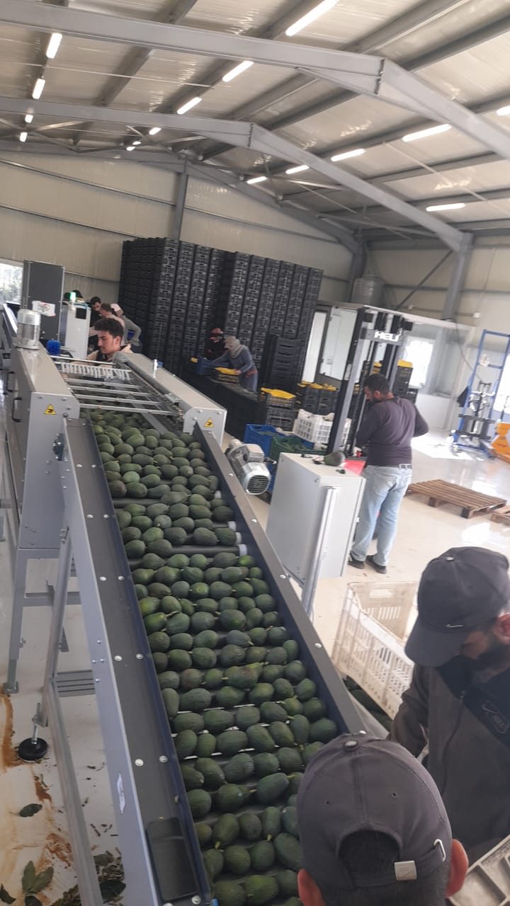 مكننة الانتاج.