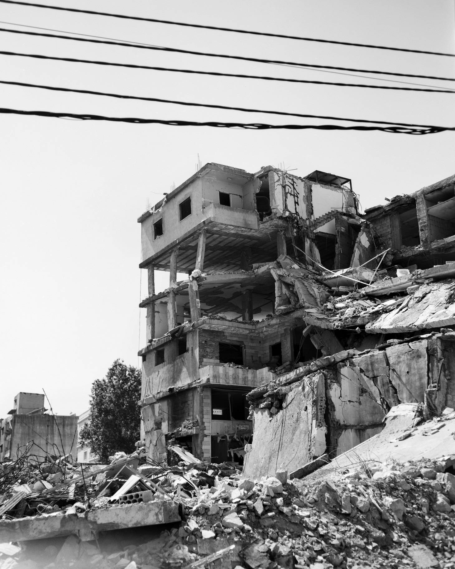 أرض الخراب. (رندا ميرزا)