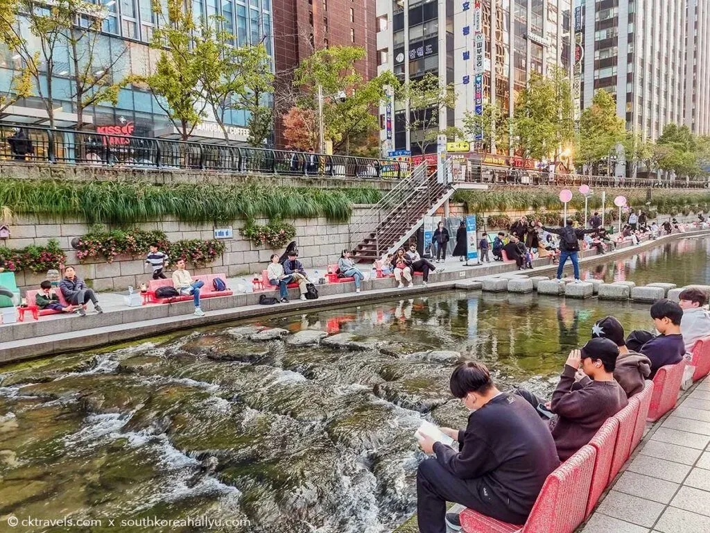 سقسقَةُ النهر موسيقى هانئة لصفحات الكتاب