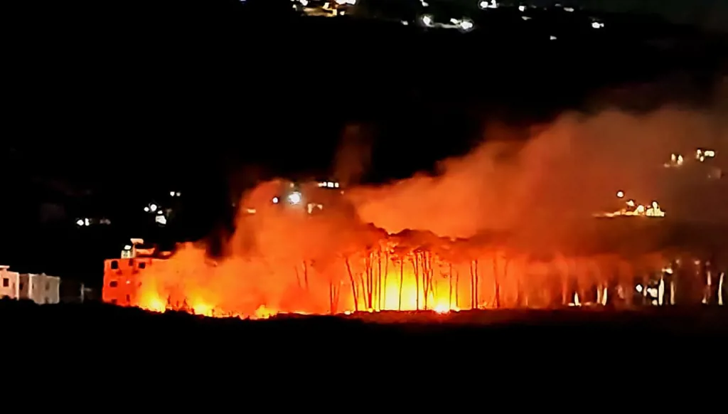 غابات عكار تحت تهديد النار... حريق القبيات يلتهم 20 هكتاراً و"يفتتح" الموسم!