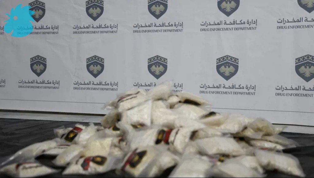 صورة للمضبوطات (النهار).