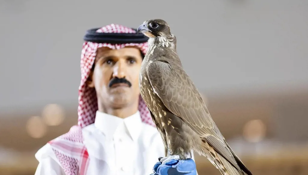 بيع صقرين منغوليين في معرض الصقور والصيد السعودي الدولي 2025
