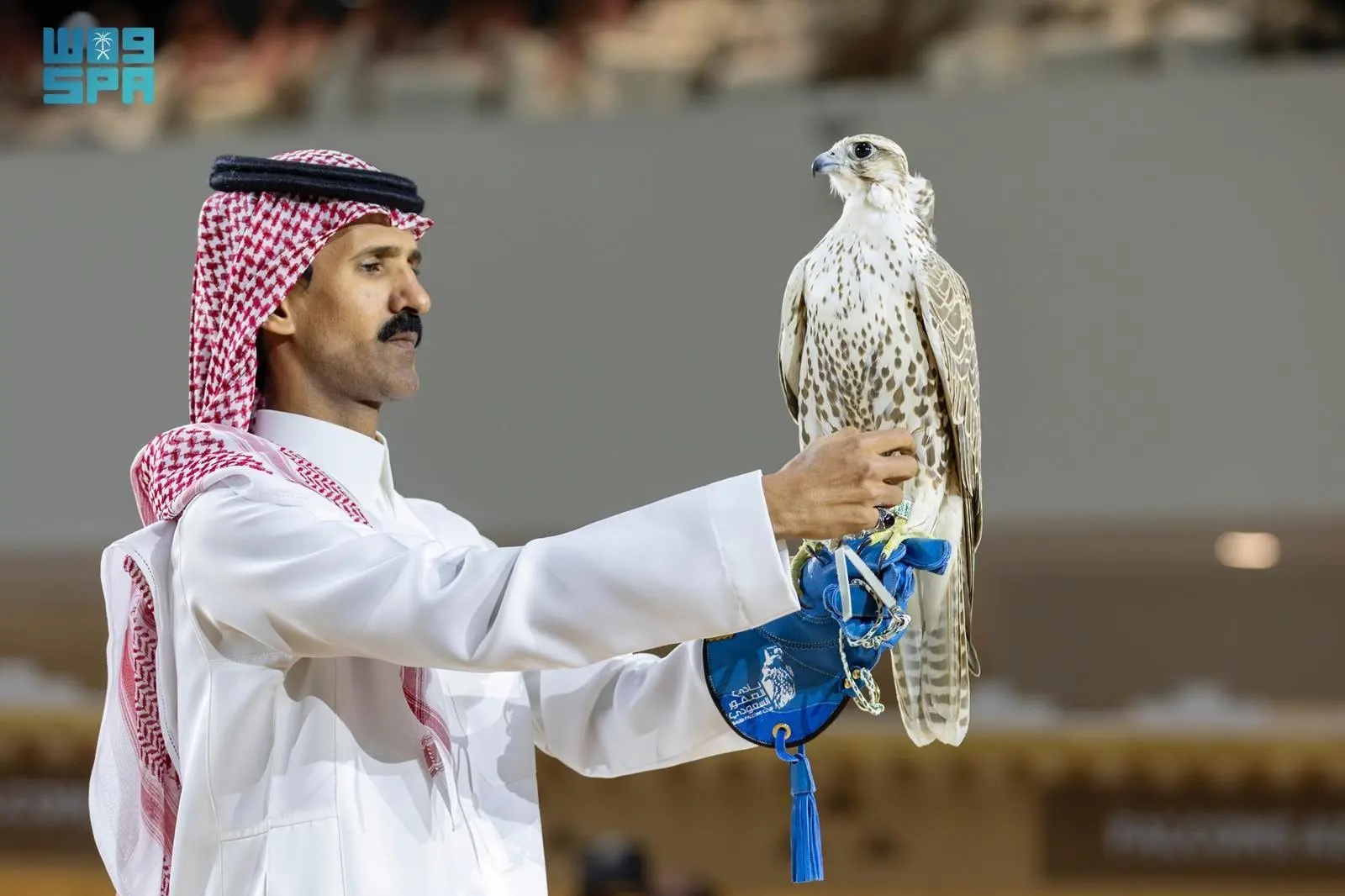 جانب من معرض الصقور والصيد السعودي الدولي 2025. (واس)