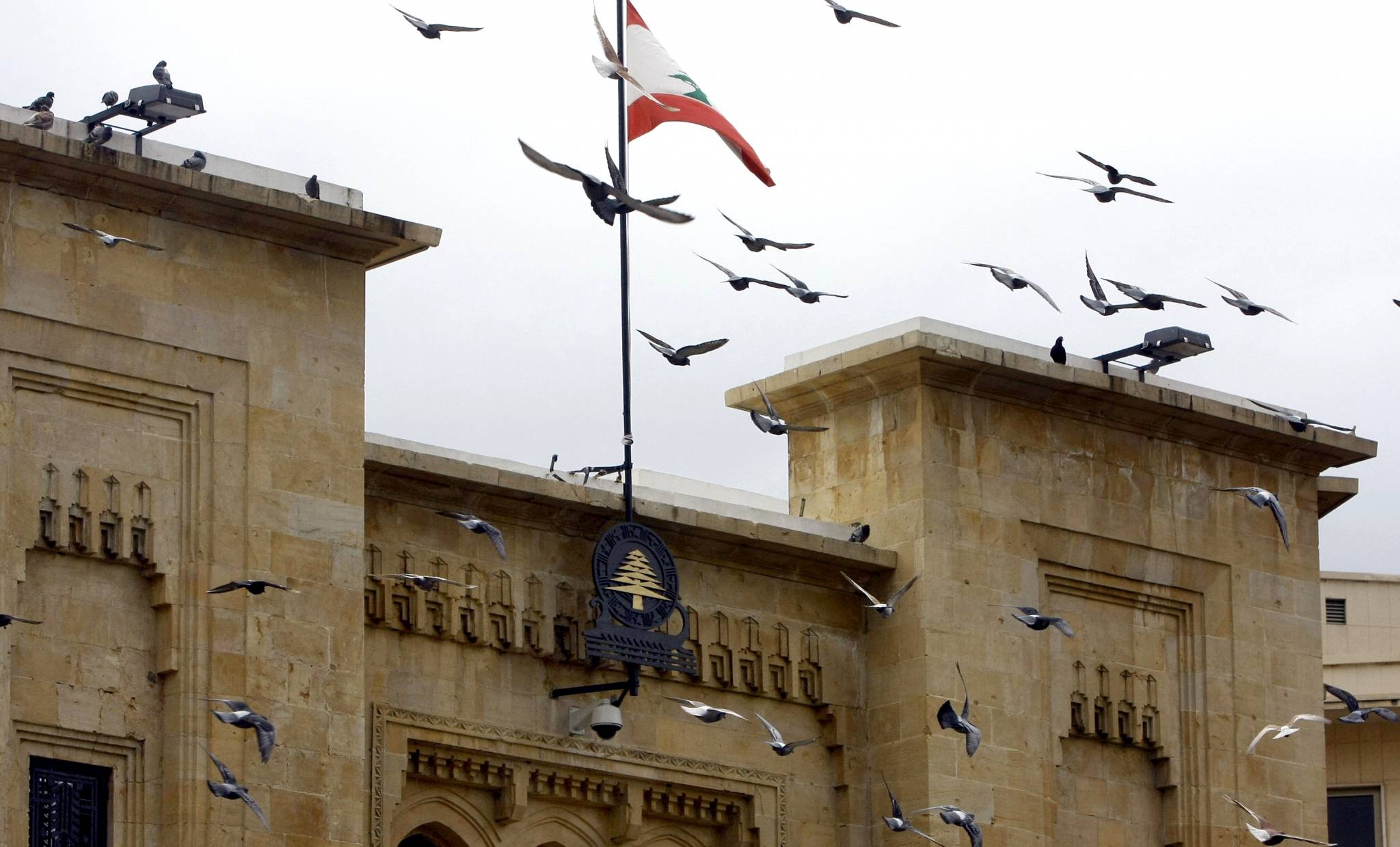 نبض الثورة لبناء وطن...