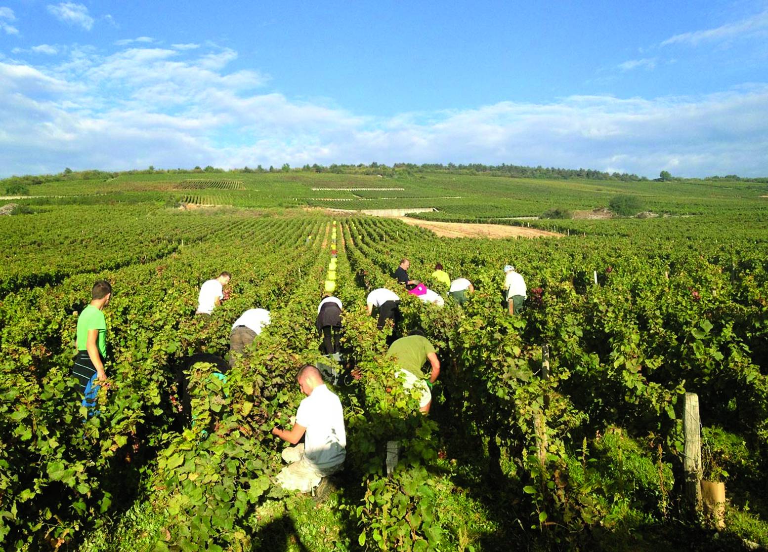 الزراعة في لبنان: قطاع مأزوم وآفاق ضبابية