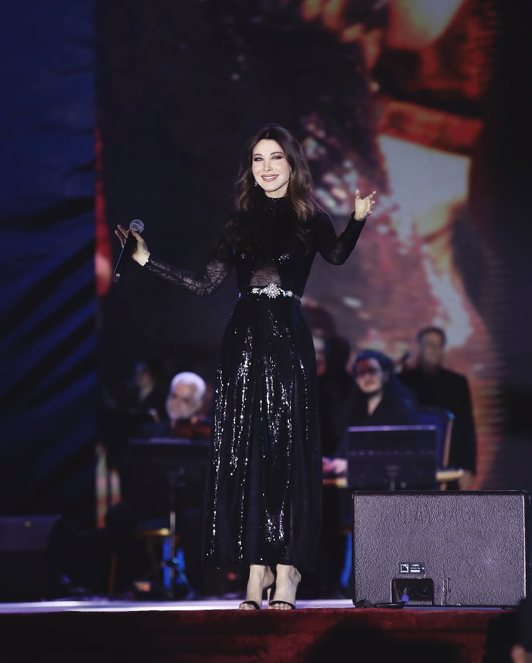 إطلالة نانسي عجرم في حفل بإربيل (إنستغرام)