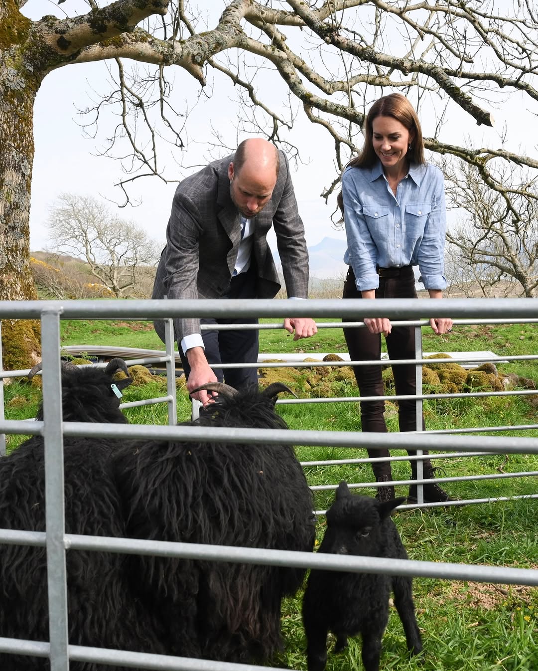 ذكرى زواج الامير ويليام وكيت ميدلتون الـ 14 في اسكتلندا (إنستغرام)