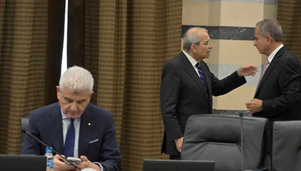 جلسة لمجلس الوزراء (نبيل اسماعيل).