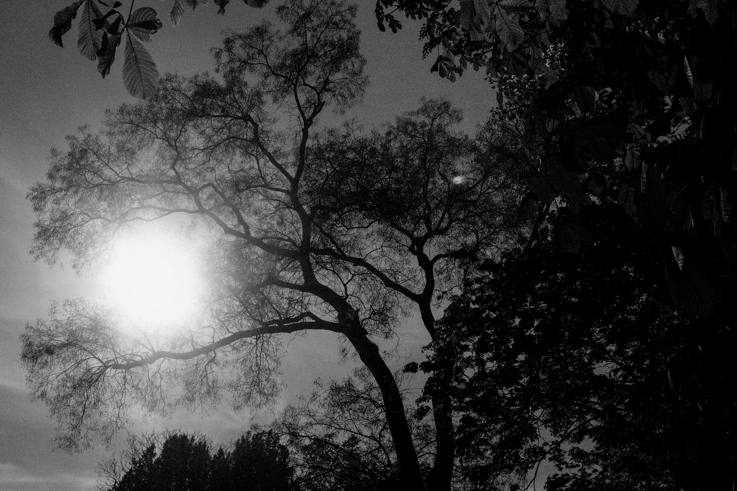 مشهد طبيعي للفرنسية كارلين بوردولا. (المهرجان)