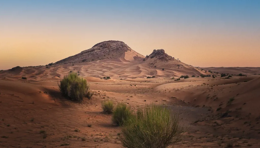 الفاية تستقطب كبرى الجامعات في سباق بحثي عالمي