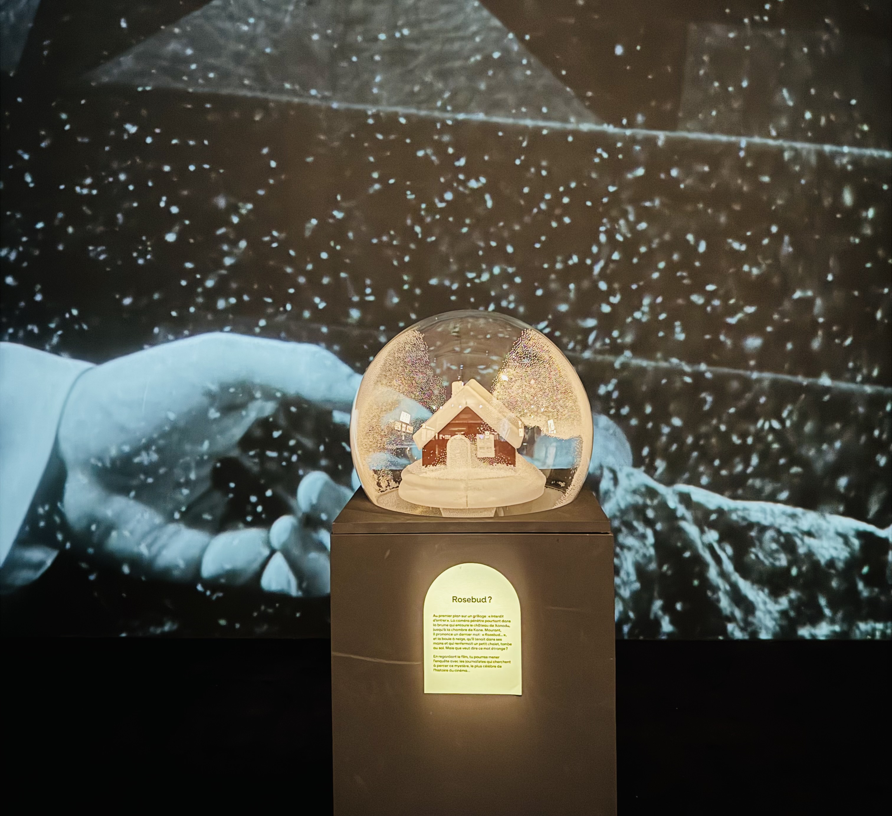 استعادة المعرض للغز ”روزباد“.