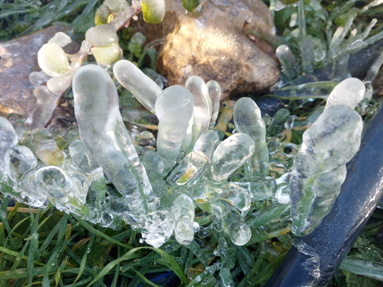 4ed2c492643442be89954b0a2a67ca35_104653.