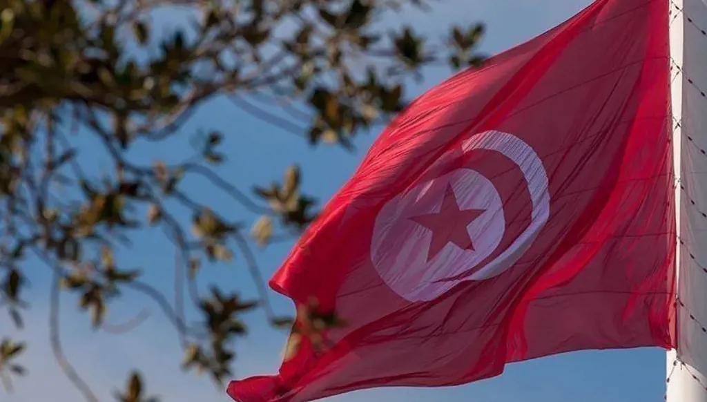 تونس: أسر أصغر ومسنون أكثر وشبكة أمان اجتماعي تعاني!