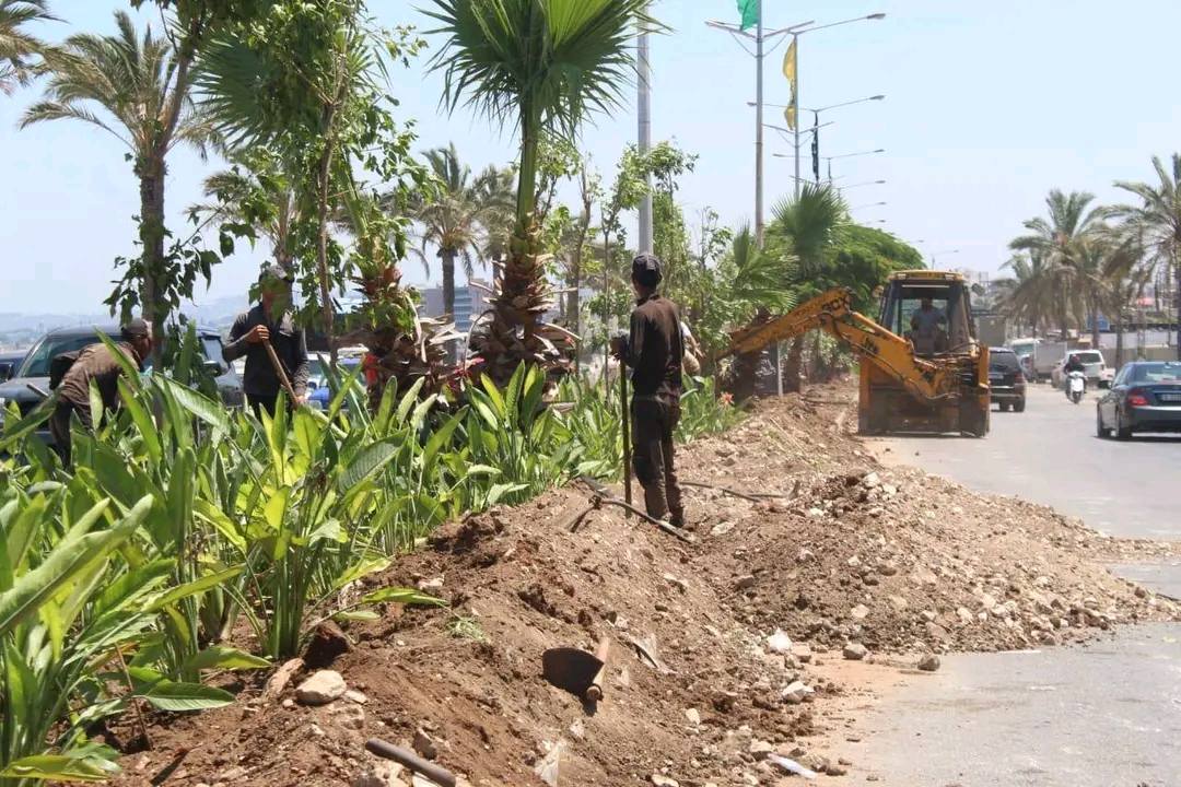 من حملة التشجير في صور (بلدية صور).