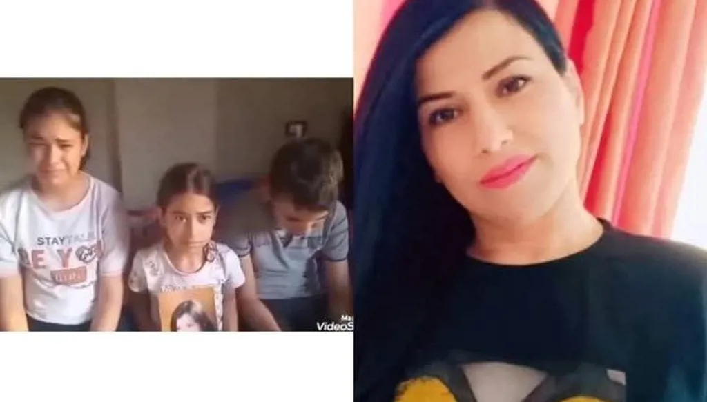 الغموض يلف قضية اختفاء مي سلوم... ما علاقة "أبو جريح"؟