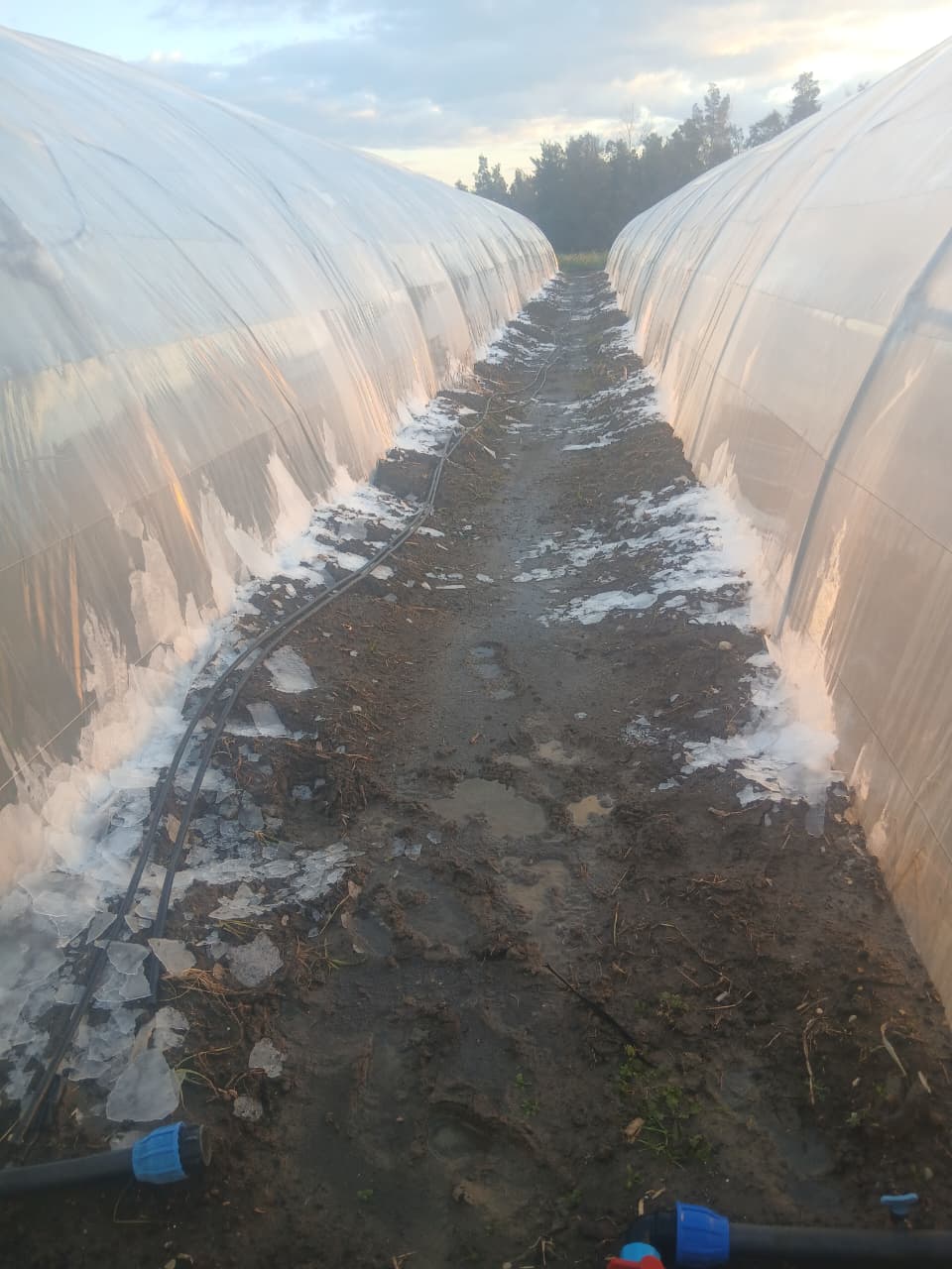 تجمع الجليد في المناطق الجبلية (النهار).