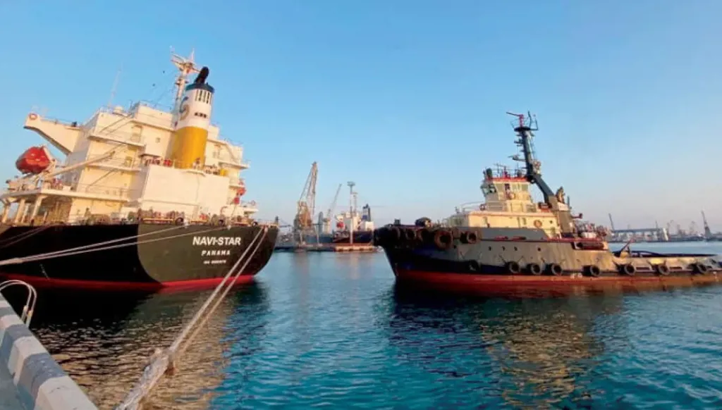 تركيا تستنكر استهداف سفينتها بضربة جوية روسية قرب أوديسا الأوكرانية