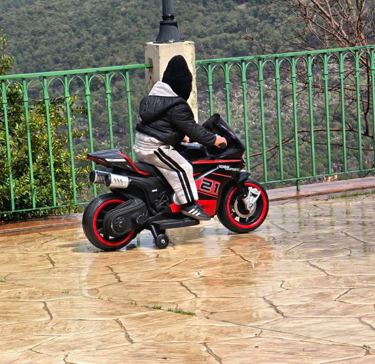 طفل يركب دراجة في الباحة.