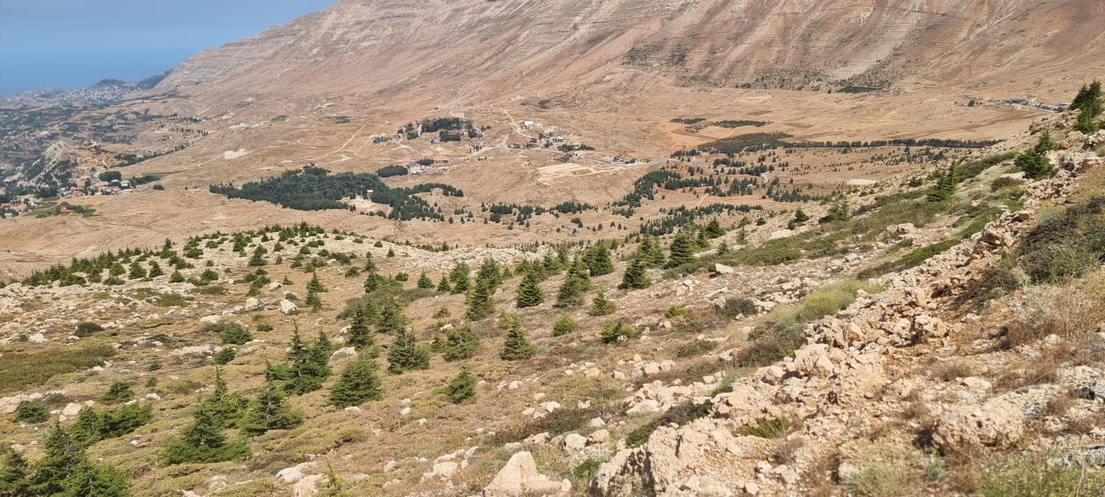 عملية التشجير في  صنين (الصورة لرامي معلوف).